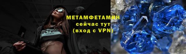 ГАЛЛЮЦИНОГЕННЫЕ ГРИБЫ Аркадак