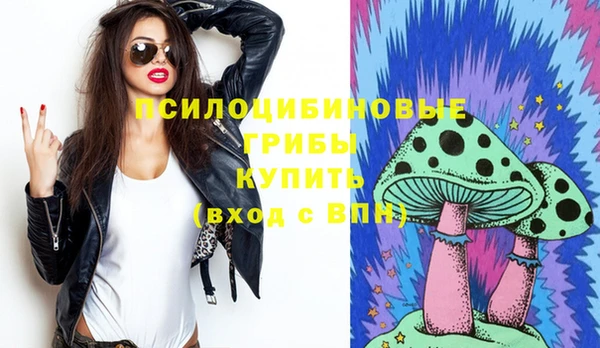 ГАЛЛЮЦИНОГЕННЫЕ ГРИБЫ Аркадак