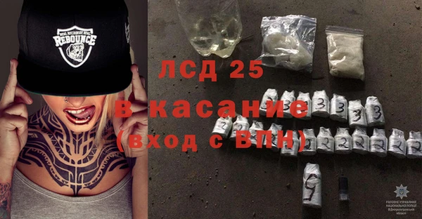 ГАЛЛЮЦИНОГЕННЫЕ ГРИБЫ Аркадак