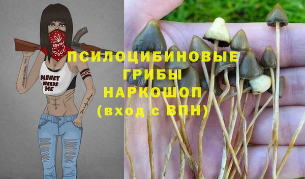 мяу мяу кристалл Арсеньев