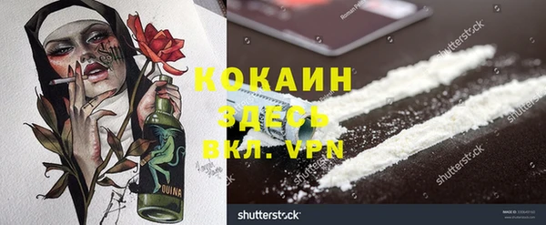 ГАЛЛЮЦИНОГЕННЫЕ ГРИБЫ Аркадак
