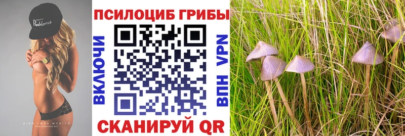 Псилоцибиновые грибы мицелий  Купить закладки  Новоаннинский 